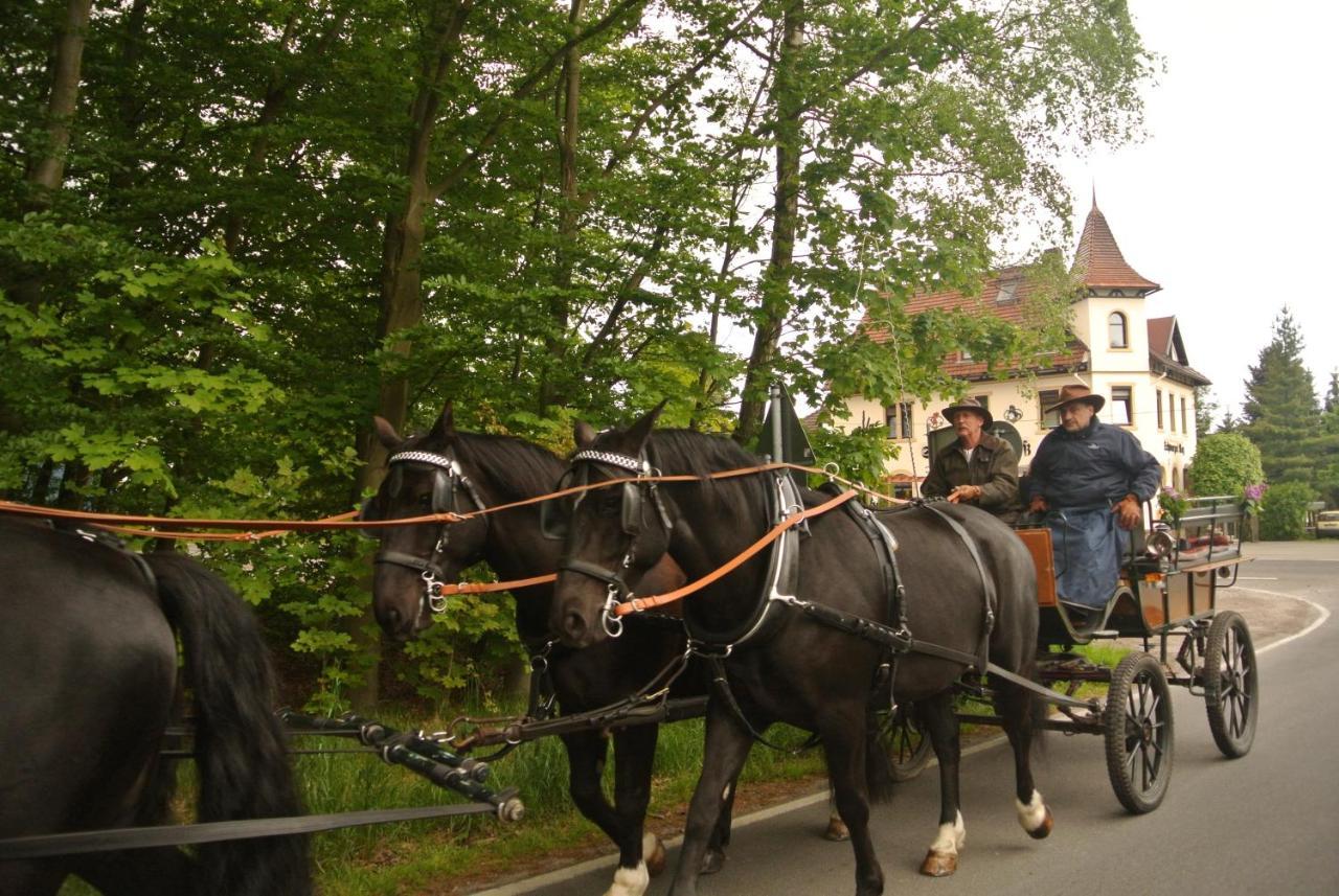 Pensión Schwarzes Ross Arnsdorf (Arnsdorf, Bautzen)